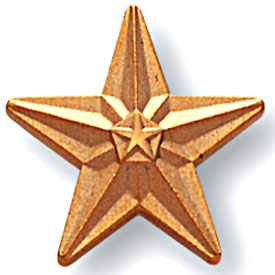 Fancy Gold Star Pin